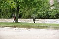 Hochwasser 2014  DSC00089-20140517